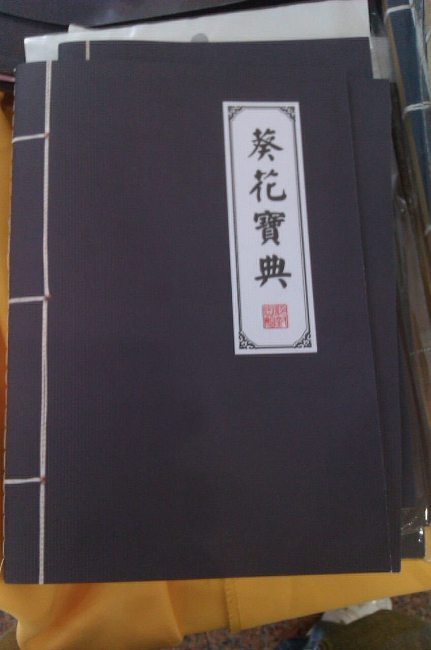 以后保卫世界和平的任务就交给你了